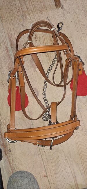 Vorfuhrhalter, Julien frossard, Halters, Les pommerats