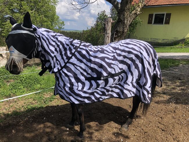 Fliegen/Ekzemerdecke, Bucas, Stefanie Schindler, Horse Blankets, Sheets & Coolers, Neumarkt am Wallersee 