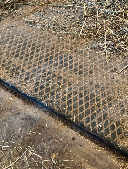 Boxenmatten, Anna, Horse & Stable Mats, Bad Endbach, Image 2