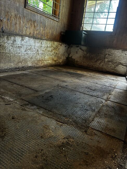 Boxenmatten, Barbara Schlor, Horse & Stable Mats, Rohrdorf, Image 3