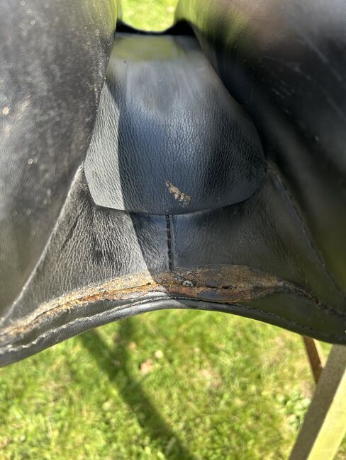 Max Benz Master Dressursattel, Max Benz Master, Marlon, Dressage Saddle, Olfen, Image 7