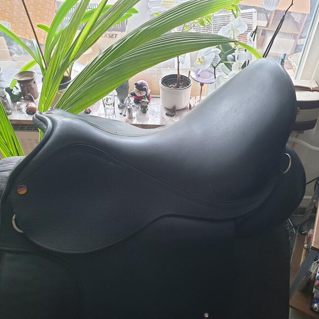 Max Horse Stigur 17 Zoll  für kurzes breiten Isländer, Max Horse Stigur, Pamela Ritter , Icelandic Saddle, Osdorf