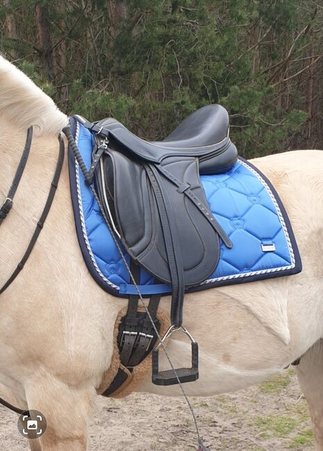 Maxflex Bella 16,5, Maxflex Bella, Filomena Zapfe, Dressage Saddle, Garbsen