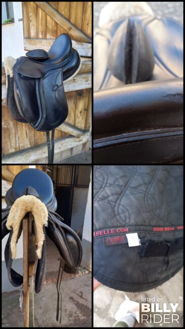 Dressursattel Maxflex, Maxflex  Bella II, Laura , Dressage Saddle, Lossatal , Image 8