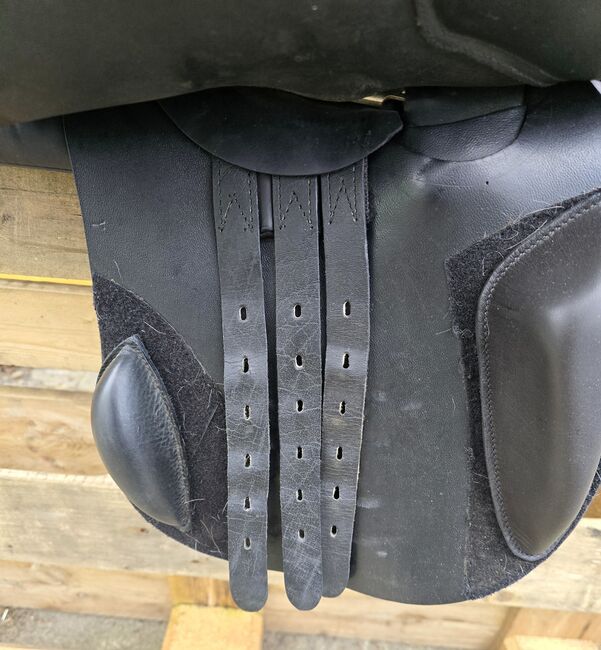 Maxflex Vielseitigkeitssattel 17,5 Zoll, Maxflex , Josefin Nitzschke , All Purpose Saddle, Grünewalde, Image 9