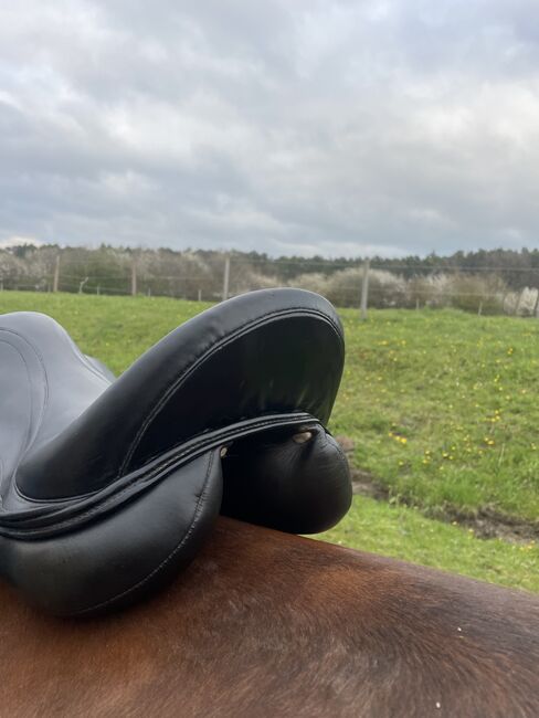 Maxflex Melina Monoblatt Dressur 17,5/18“, Maxflex Melina, Nina, Dressage Saddle, Herzogenaurach , Image 5