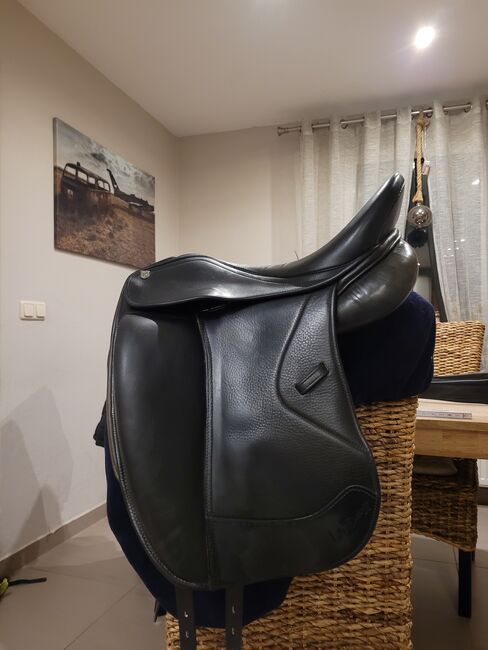 Massimo 17 z, Massimo  Dressursattel , Christin , Dressage Saddle, Paaren im Glien