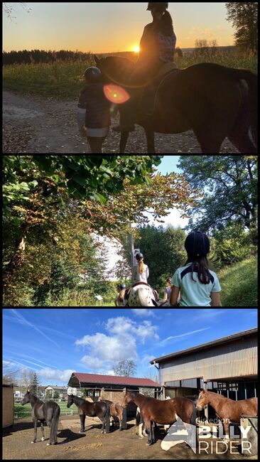 Wiesentalranch, Wiesentalranch, Riding Lessons, Mudau, Image 4