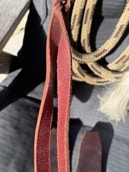 Mecate mit Rein Leathers,wie neu, Mestenos Saddlery, Bernadette Bauer, Leads, Rodgau, Image 6