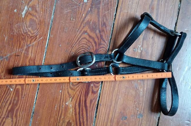 mehrere Ponyfohlenhalfter, Annette Peterlick, Halters, Dischingen