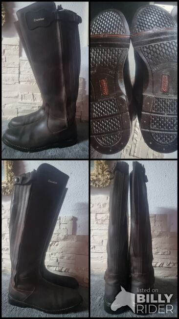 Herren Reitstiefel Leder, Loesdau, Eule, Riding Boots, Eberschwang, Image 7