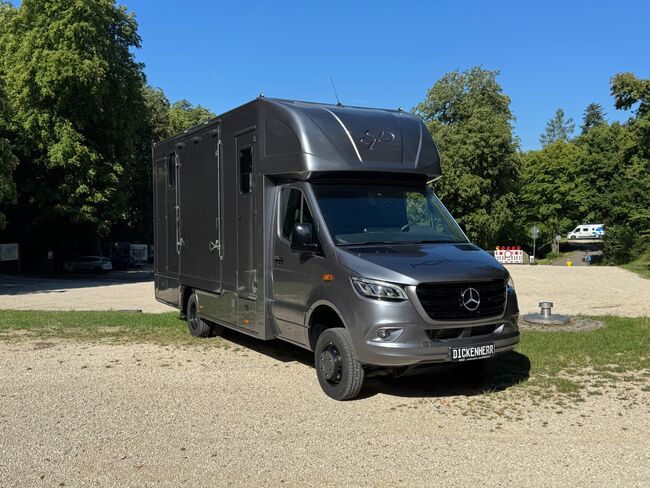 Mercedes-Benz 519 Pferdetransporter Unikat!!Allrad 4x4 Selbstfahrer, Dickenherr Dickenherr 4x4 Allrad, Gerhard Strobel (Dickenherr Trucks und Trailers), Horse Trailers, Baden-Württemberg - Unterschneidheim, Image 3