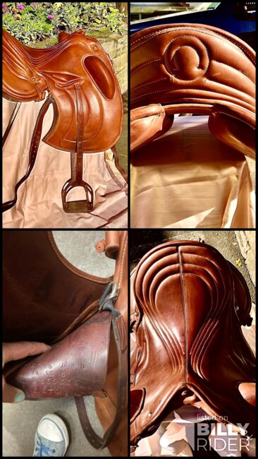 Mercedes Signum Barocksattel, Mercedes Signum  Barrocksattel , Roswitha Strieth, Baroque Saddle, Rüdesheim , Image 12