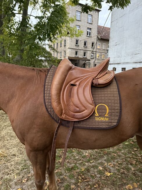 Signum Omega Mercedes mit Lotus Sattelblätter, Signum Mercedes, Danni, Siodła rajdowe, Bieberehren, Image 6