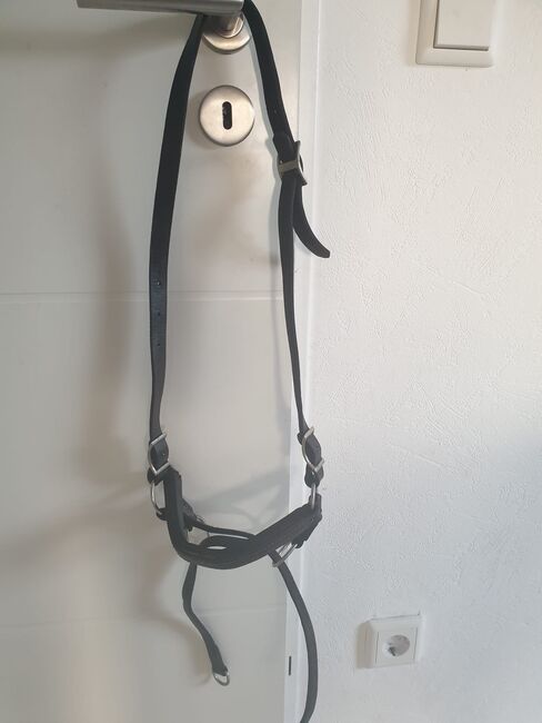 Merothisches Trense ´/Reithalfter Gr. VB/WB Sidepull null, Pferdefreund, Bitless Bridles, Wermelskirchen