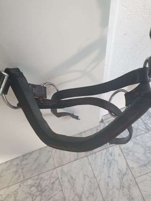 Merothisches Trense ´/Reithalfter Gr. VB/WB Sidepull null, Pferdefreund, Bitless Bridles, Wermelskirchen, Image 2