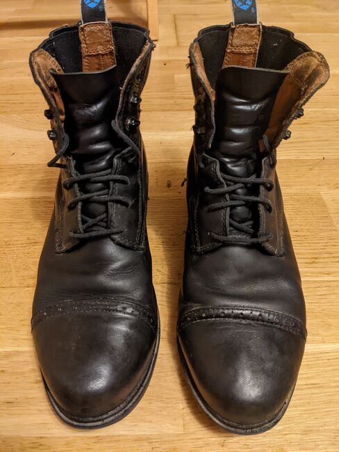 Ariat Herren Reitstiefeletten Größe 40, Ariat, Bea, Sztyblety jeździeckie, Wien, Favoriten, Image 9