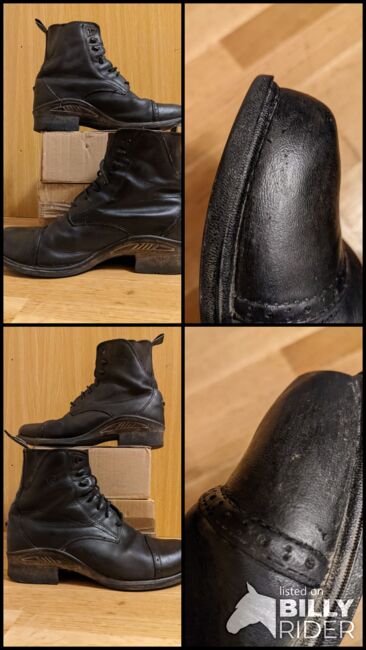 Ariat Herren Reitstiefeletten Größe 40, Ariat, Bea, Sztyblety jeździeckie, Wien, Favoriten, Image 10