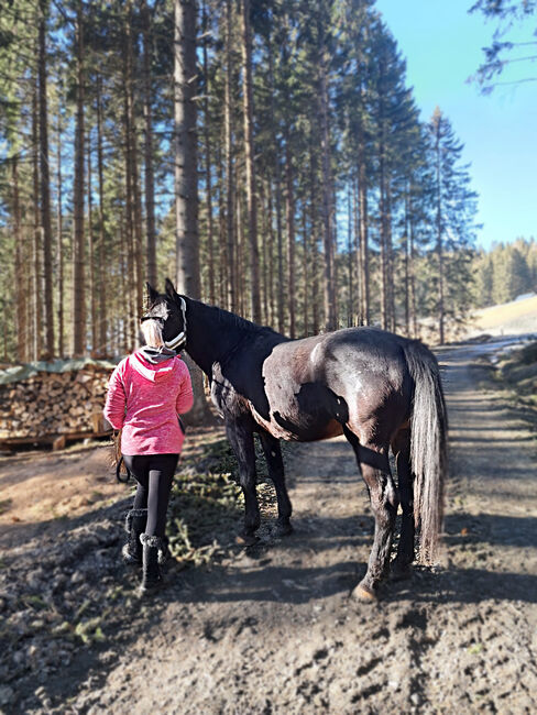 Verkaufe Schweren Herzens meine Stute, Jasmin , Horses For Sale, Breitenau , Image 5