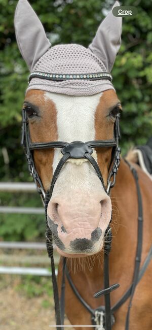 Mexikanische Trense Cob, Louise, Bridles & Headstalls, Berlin Friedrichshain