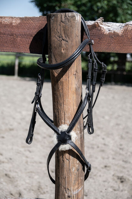 mexikanische Trense Auckland von Schockemöhle Sports Cob, Schockemöhle Sports  Trense Auckland , Nina, Bridles & Headstalls, Nordermeldorf, Image 7