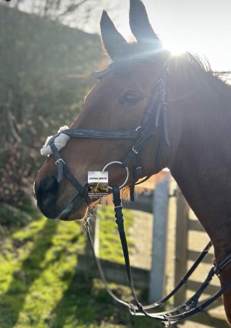 Mexikanische trense, melina, Bridles & Headstalls, Stedesdorf 