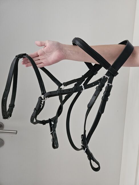 Mexikanisches Zaumzeug, Leidinger andreas, Bridles & Headstalls, Peuerbach, Image 2