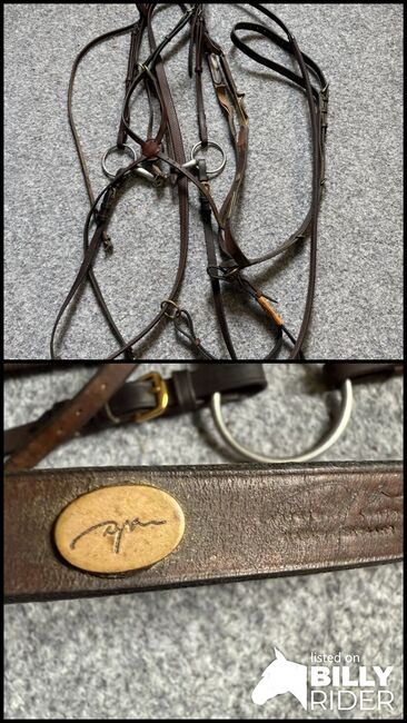 Mexikanischer Zaum, Isabelle Saladin, Nosebands, Hofstetten , Image 3