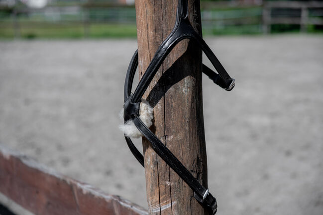 Mexikanisches Reithalfter Cob, Krämer, Nina, Nosebands, Nordermeldorf