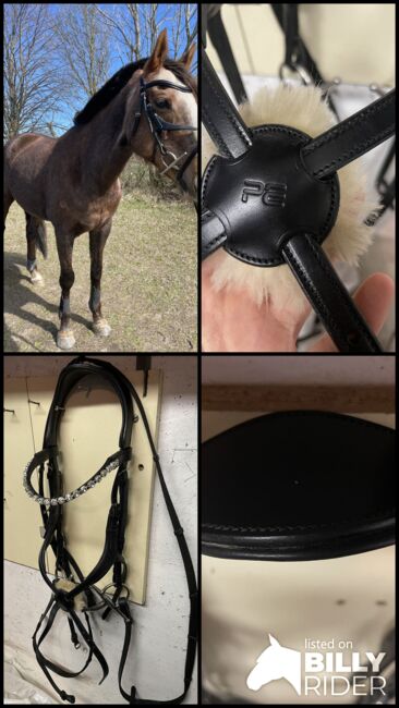 Mexikanische Trense schwarz Premier Equine COB/VB, Premier Equine Glorioso , Mailin Glaser, Bridles & Headstalls, Rostock, Image 7