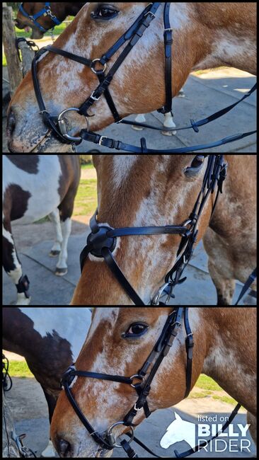 Mexikanische Trense, Carolin Ehrlich, Bridles & Headstalls, Vetschau, Image 4