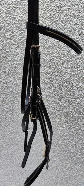 Mexikanische Trense, Juli, Bridles & Headstalls, Lichtenberg/Erzgeb., Image 2