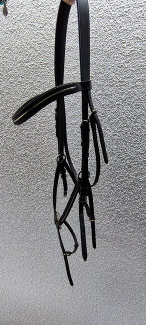 Mexikanische Trense, Juli, Bridles & Headstalls, Lichtenberg/Erzgeb., Image 3