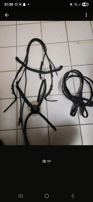 Mexikanische Trense, Mexikanische Trense, Sophie , Bridles & Headstalls, Bockelwitz