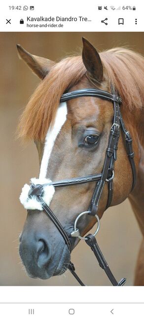 Mexikanische Trense WB, Kavalkade  Mexikanisch, Christina Gerner , Bridles & Headstalls, Berching