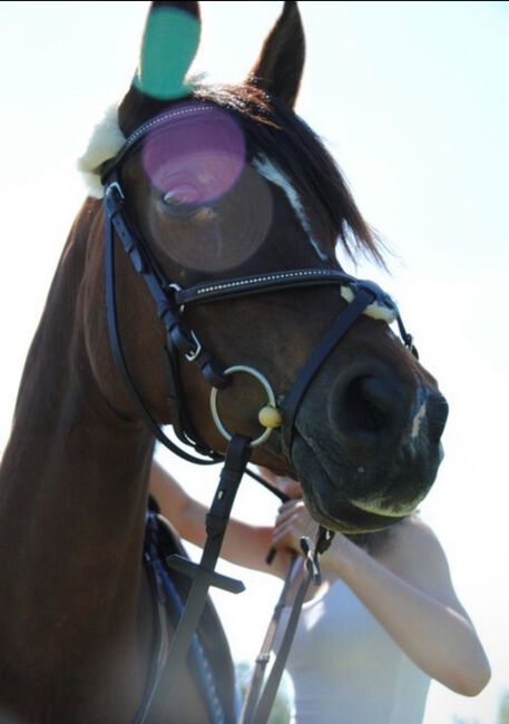 Mexikanische Trense VB Braun, Mexikanische Trense , Orlopp Carmen - Sophia , Bridles & Headstalls, Schmitten