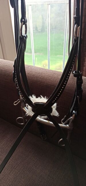 Mexikanisches Reithalfter Trense Strass Kaltblut XFull neuwertig, Anne, Bridles & Headstalls, Schmalkalden, Image 4