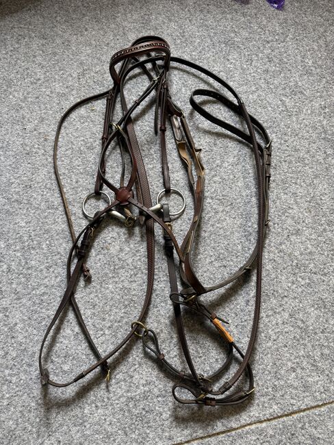 Mexikanischer Zaum, Isabelle Saladin, Nosebands, Hofstetten 