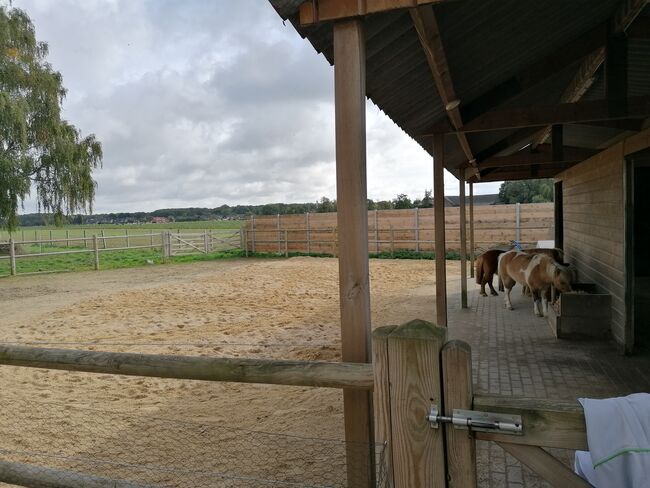 Rentnerplatz für Pony oder Pferd, H. Lange , Wolna stajnia, Mönchengladbach, Image 2