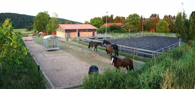 Platz in Bewegungsstall / Offenstall - Nähe Göttingen/Witzenhausen, Swantje Schröter, Wolna stajnia, Neu-Eichenberg, Image 4