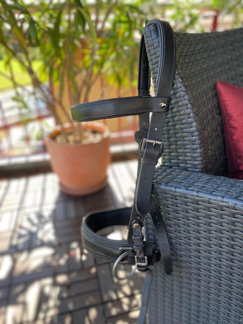 Weicher Kappzaum ohne Eisen, Busse Kappzaum FIT-PRO, Andrea , Lonżowanie, Eschenbach LU, Image 2