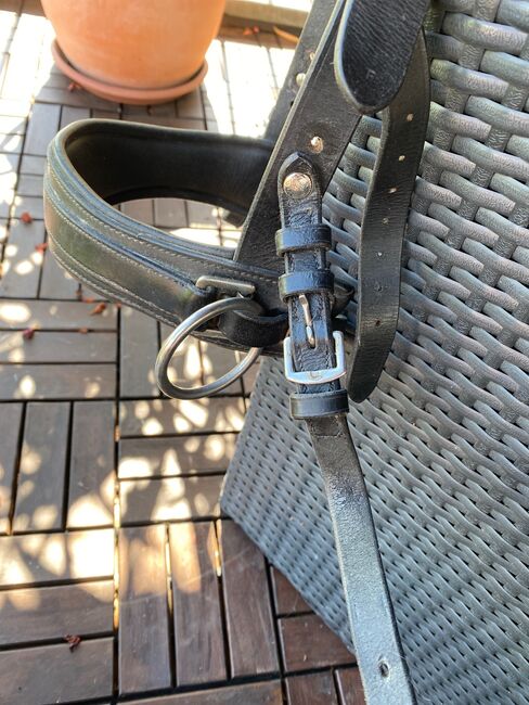 Weicher Kappzaum ohne Eisen, Busse Kappzaum FIT-PRO, Andrea , Lonżowanie, Eschenbach LU, Image 3