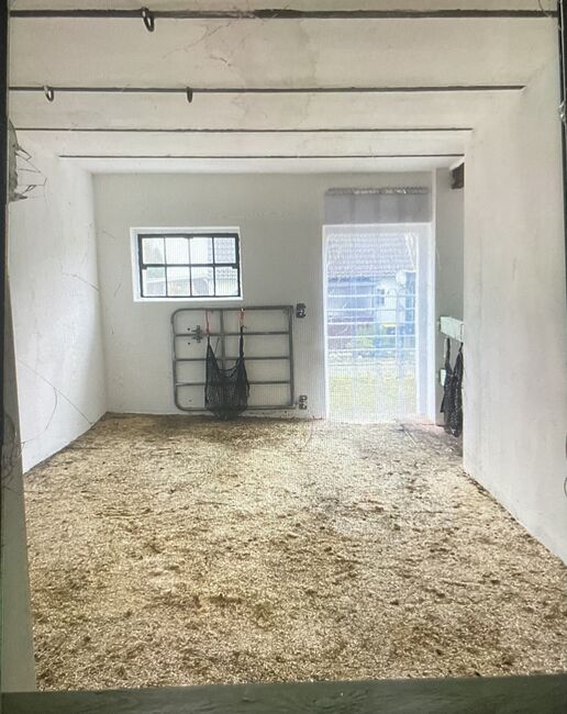 Mietwohnung mit Pferdestall, Braun, Pferdeimmobilien, Nümbrecht , Abbildung 7
