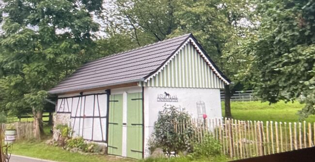 Mietwohnung mit Pferdestall, Braun, Pferdeimmobilien, Nümbrecht , Abbildung 3