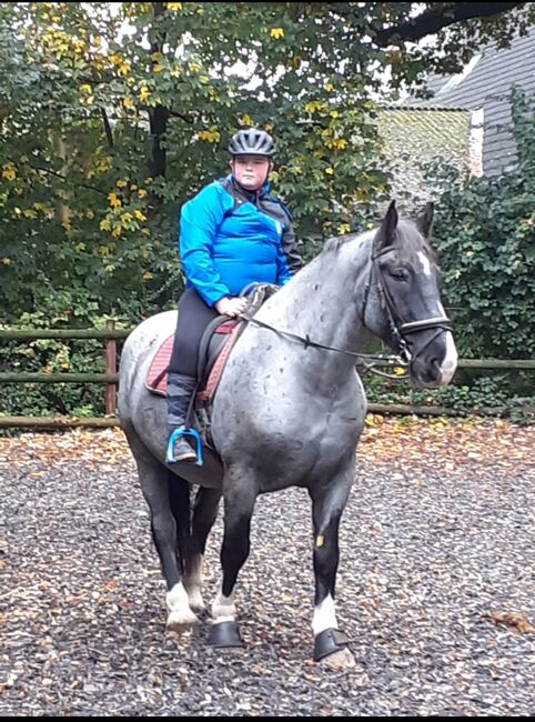 Minijob auf reiterhof, Benjamin spangenberg, Job Offers, Melle