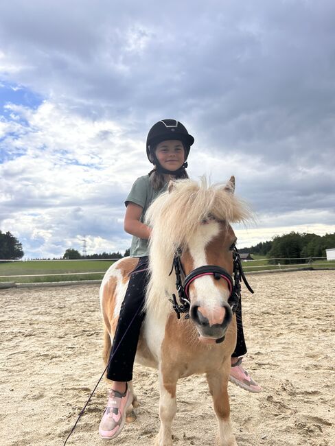 Mini Pony Stute, Dani, Horses For Sale, Seekirchen 