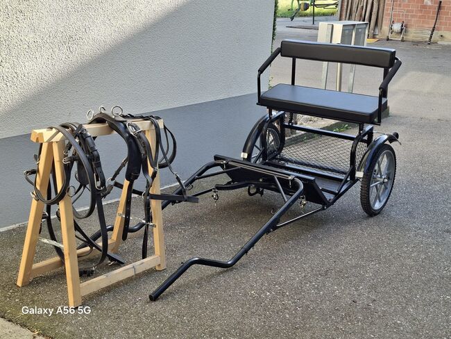 Mini-Shetty Kutsche, Sophie Marie Studer, Carriages, St.Erhard