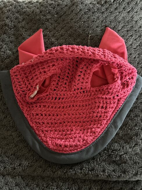 Mini Shetty Fliegenmützen, Fliegenmützen , Lena Pittermann , Fliegenschutz, Wirsberg , Abbildung 6