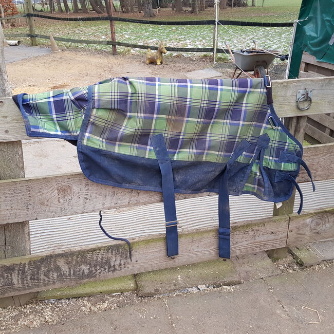 Mini Shetty Outdoordecke, Tyson, Hope, Horse Blankets, Sheets & Coolers, Wolfenbüttel