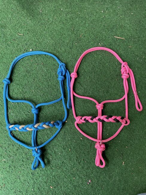 Mini Shety Knotenhalfter, pink, S C, Halters, Hannover